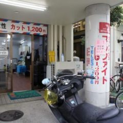 カットハウス ブルファイト