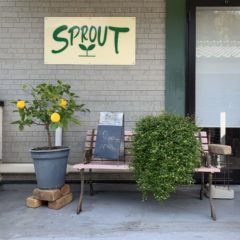 アロママッサージ　SPROUT